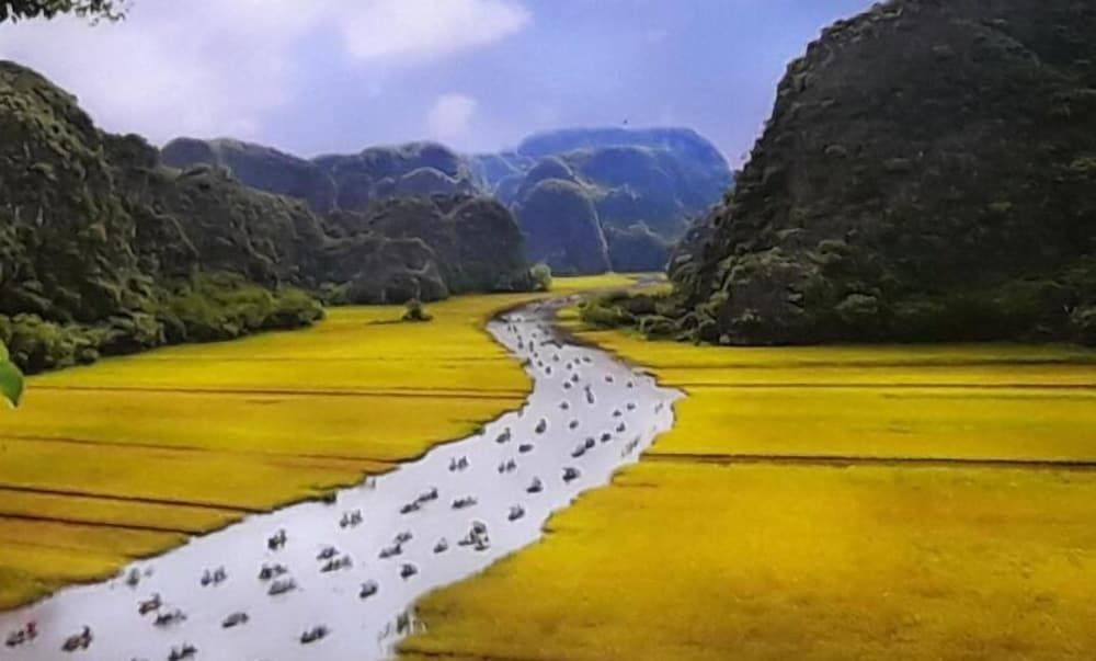 undefined Khai Yen Tam Coc Hostel 4