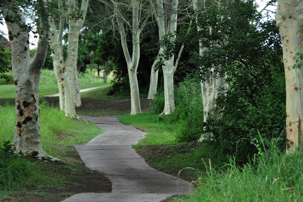 undefined Kruger Park Lodge Unit 543 10