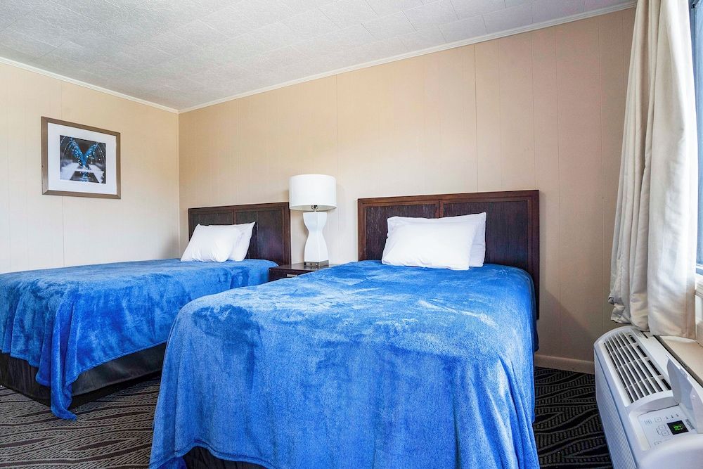 Room, 2 Double Beds