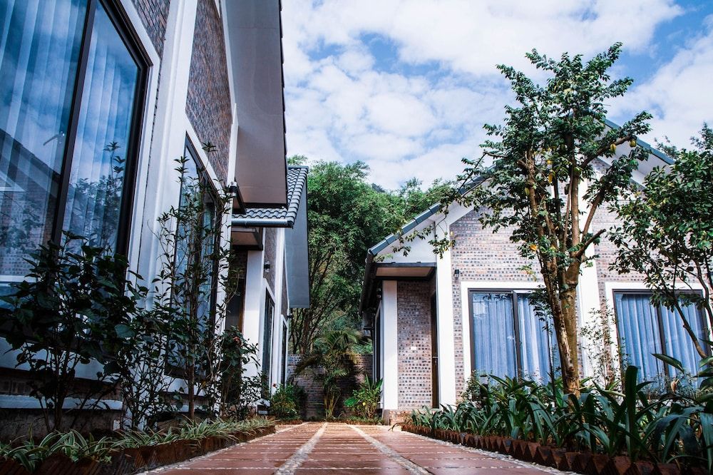 undefined Tamcoc Golden Rice 7