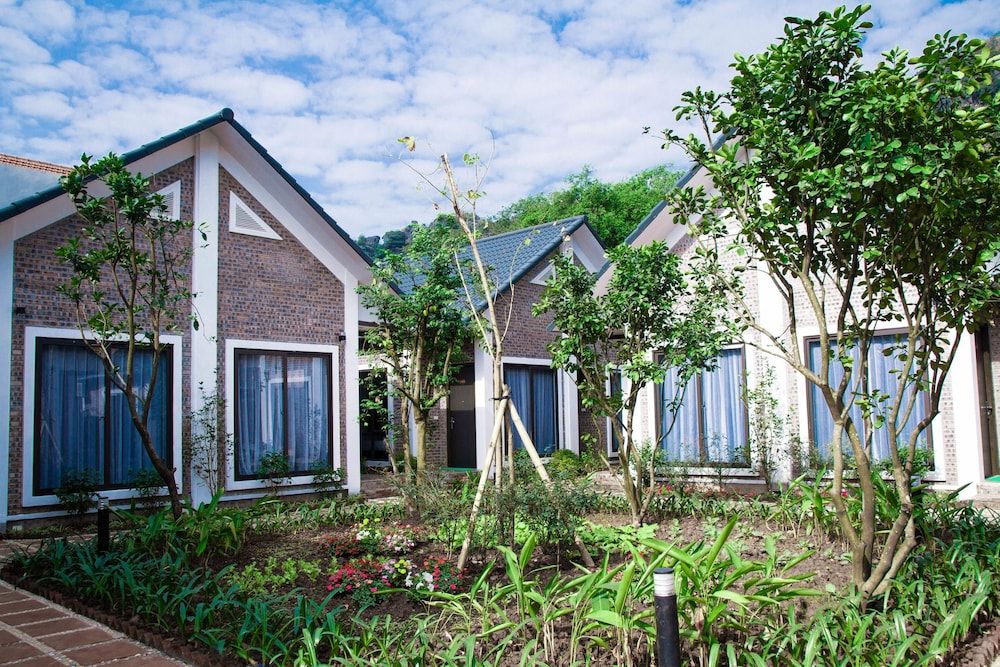 undefined Tamcoc Golden Rice 4