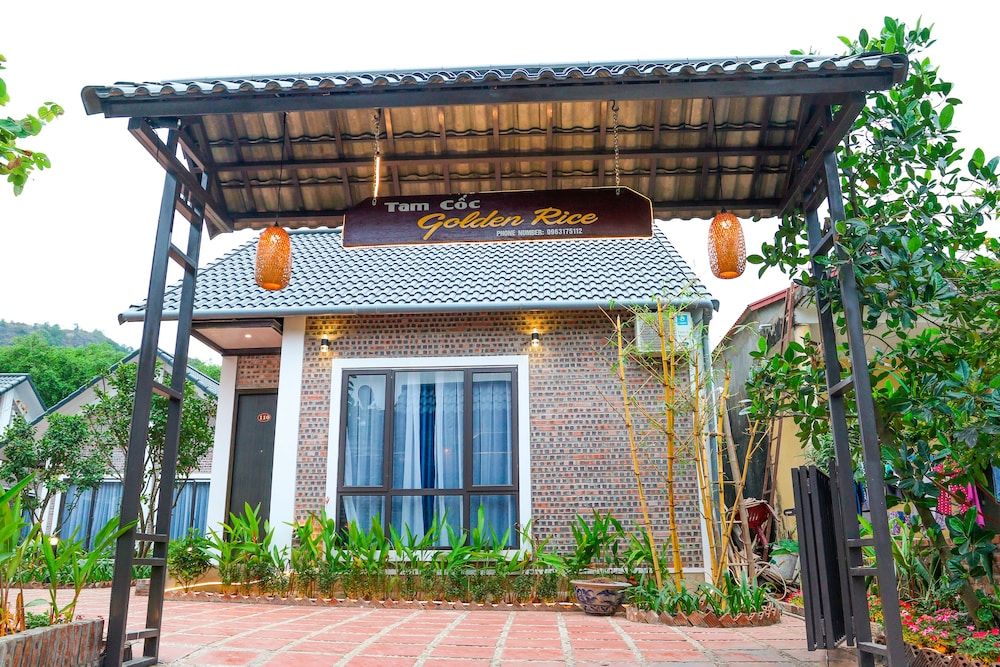 undefined Tamcoc Golden Rice 5