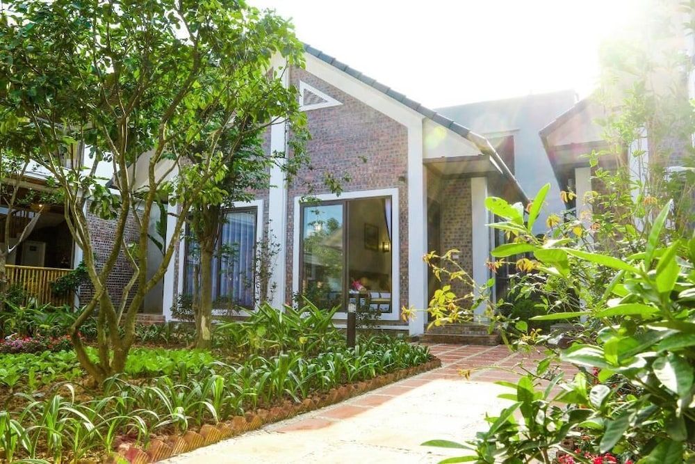 undefined Tamcoc Golden Rice 10