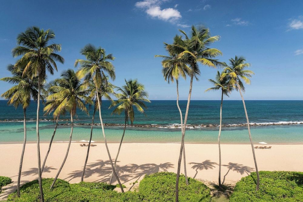 West Beach Ground Suite, 1 Bedroom Suite, 1 King, Sofa bed