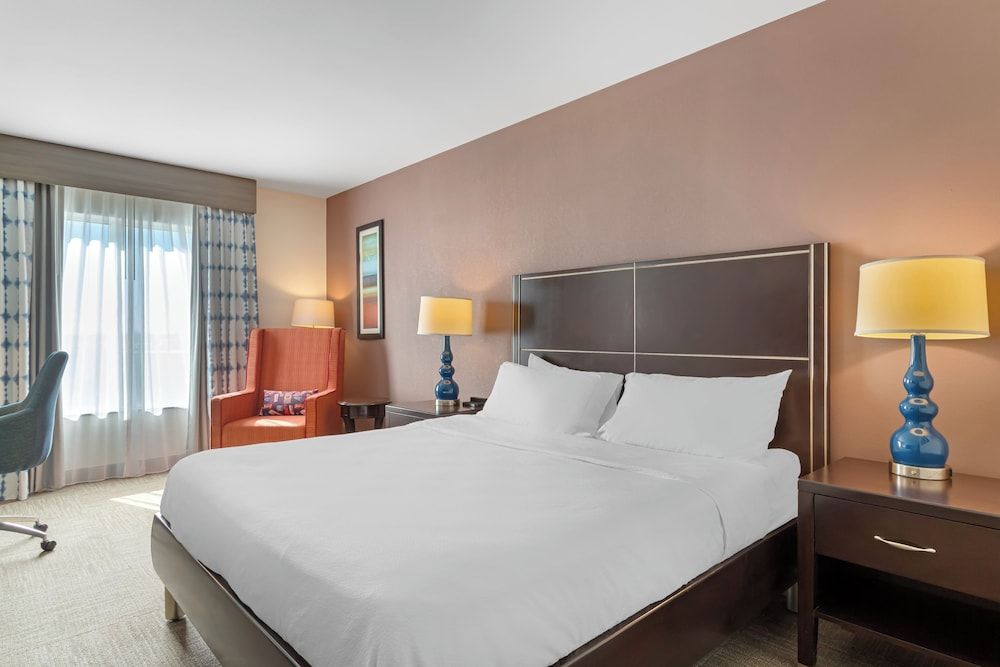 Hilton Garden Inn Houston NW America Plaza One King Bed 3