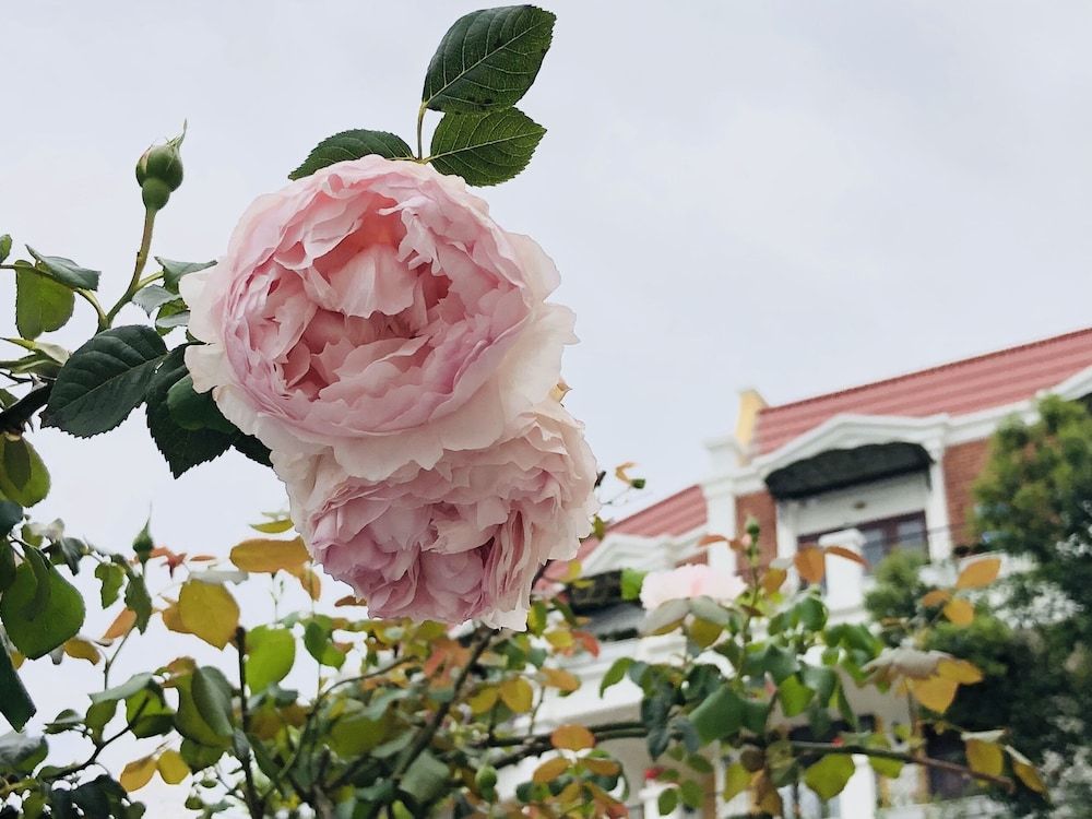 undefined Cat Cat Galerie d'Art 10