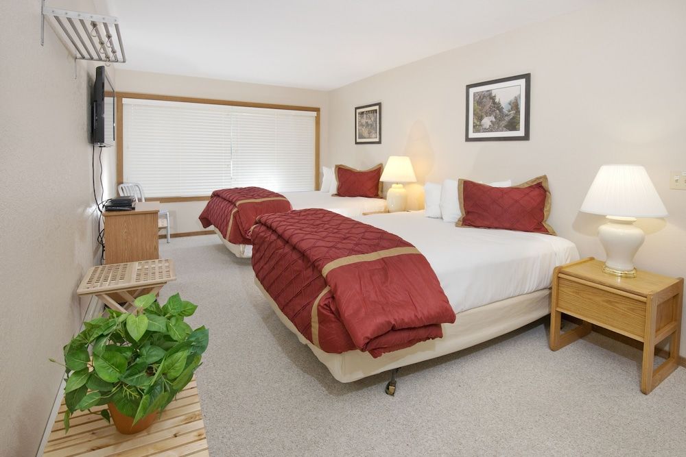 Room (The Meadows Region)