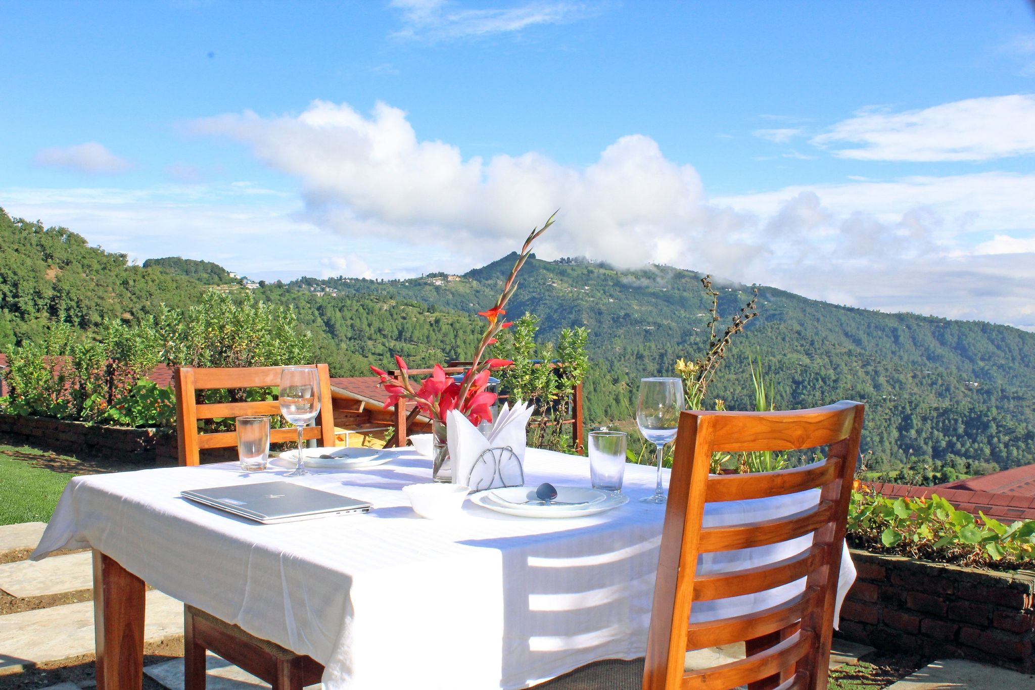 Food & Dining