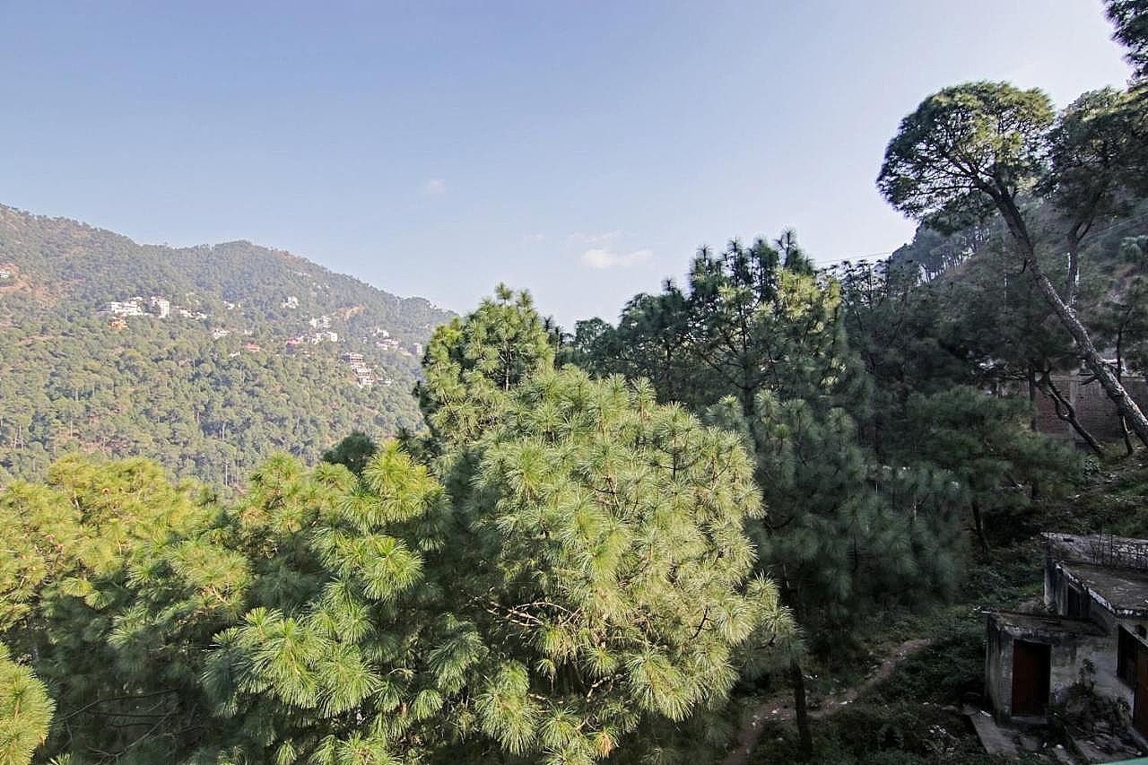 Hotel O Pine View Villa
