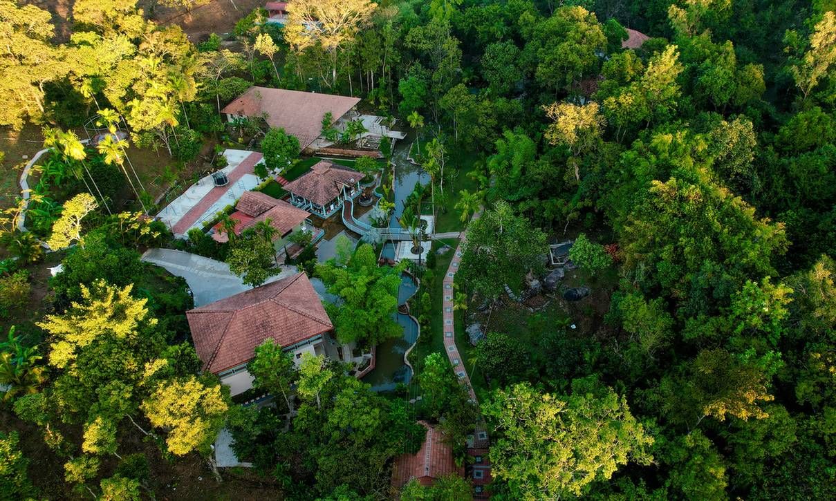 Green Tree Resort