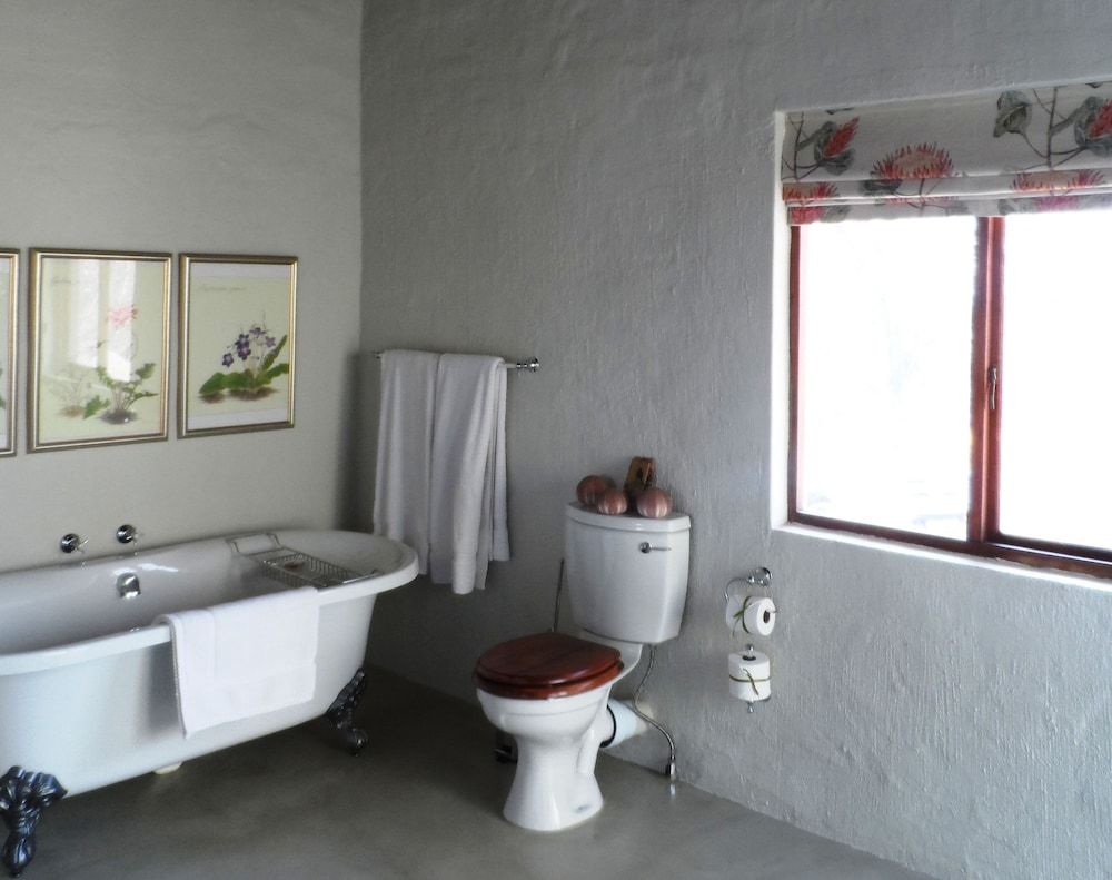 Shikwari Nature Reserve Shikwari Wild Fig - Fam. 4