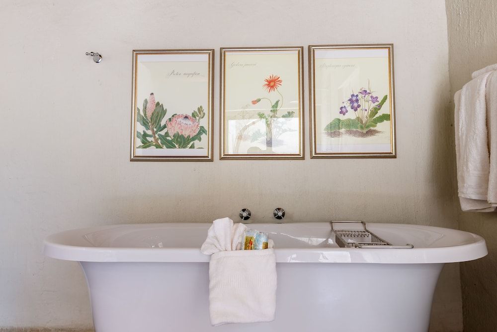 Shikwari Nature Reserve Shikwari Wild Fig - Fam. 11