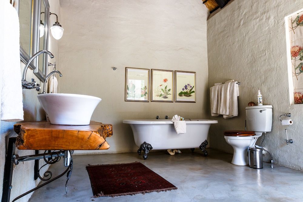 Shikwari Nature Reserve Shikwari Wild Fig - Fam. 7