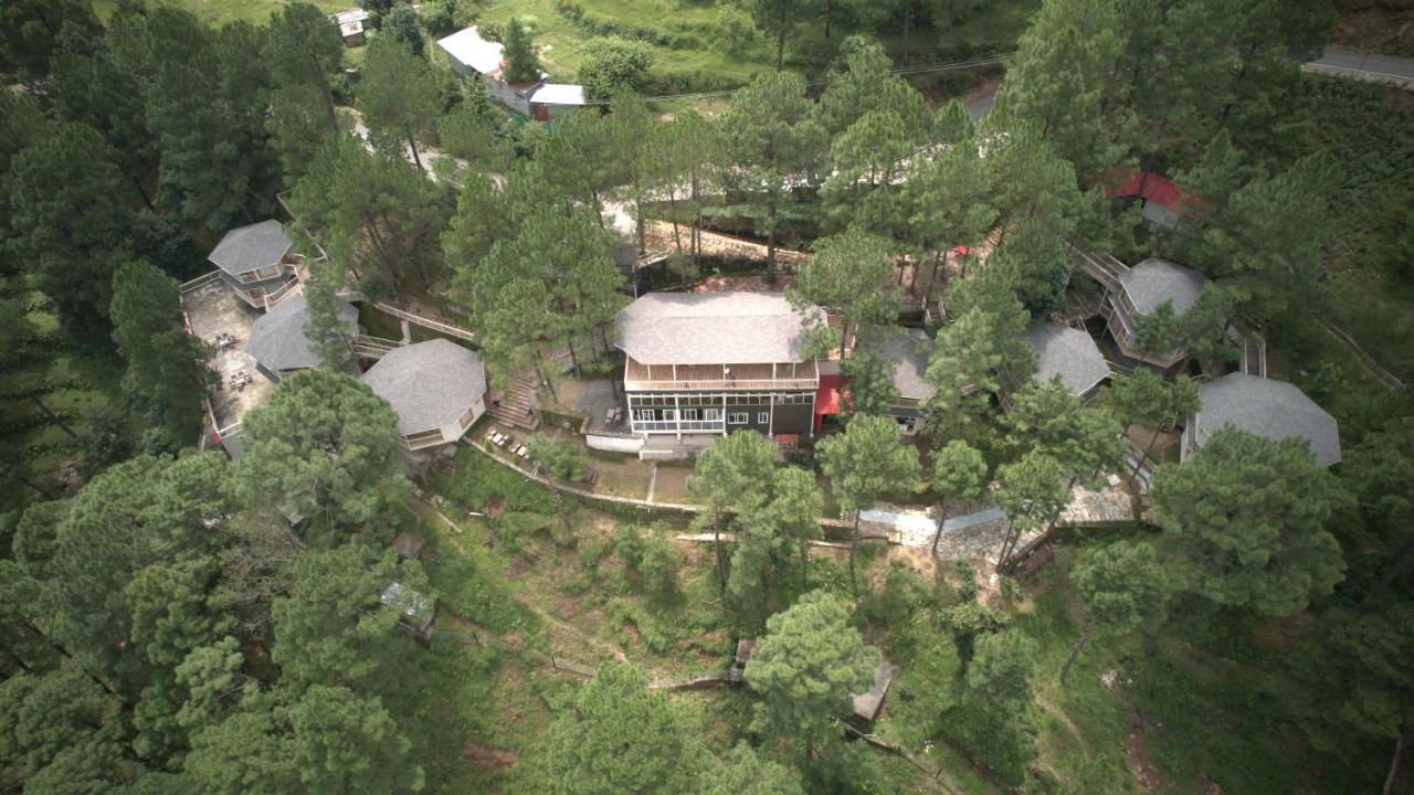 undefined The Woods Retreat 2