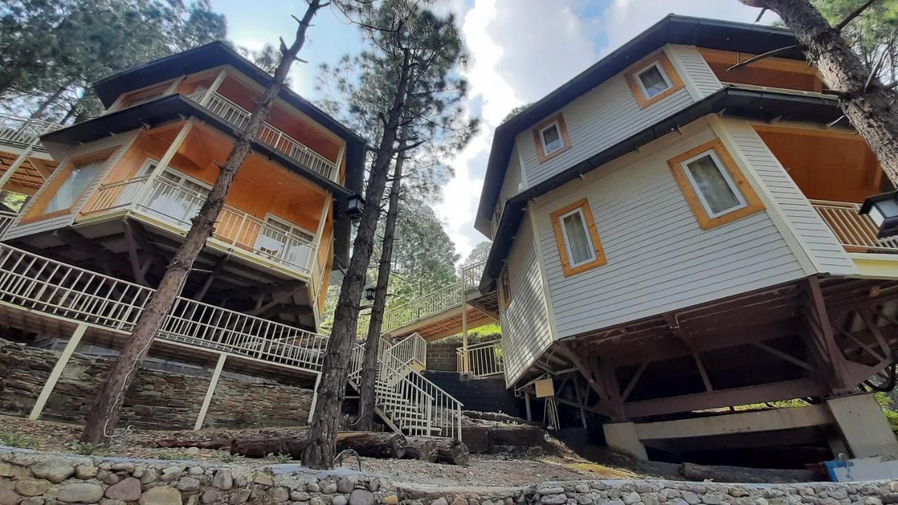 undefined The Woods Retreat 9