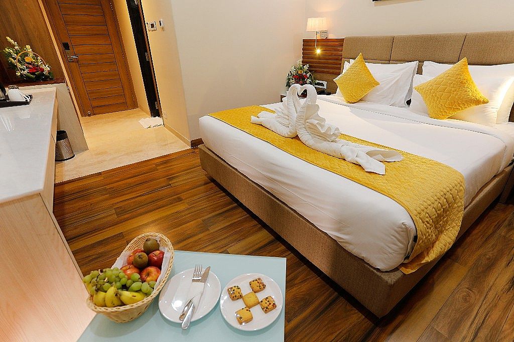 Hotel Dolphin Grand Superior Double Room 8
