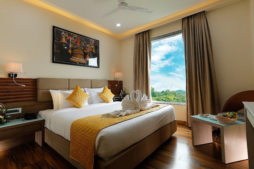 Hotel Dolphin Grand Superior Double Room 7
