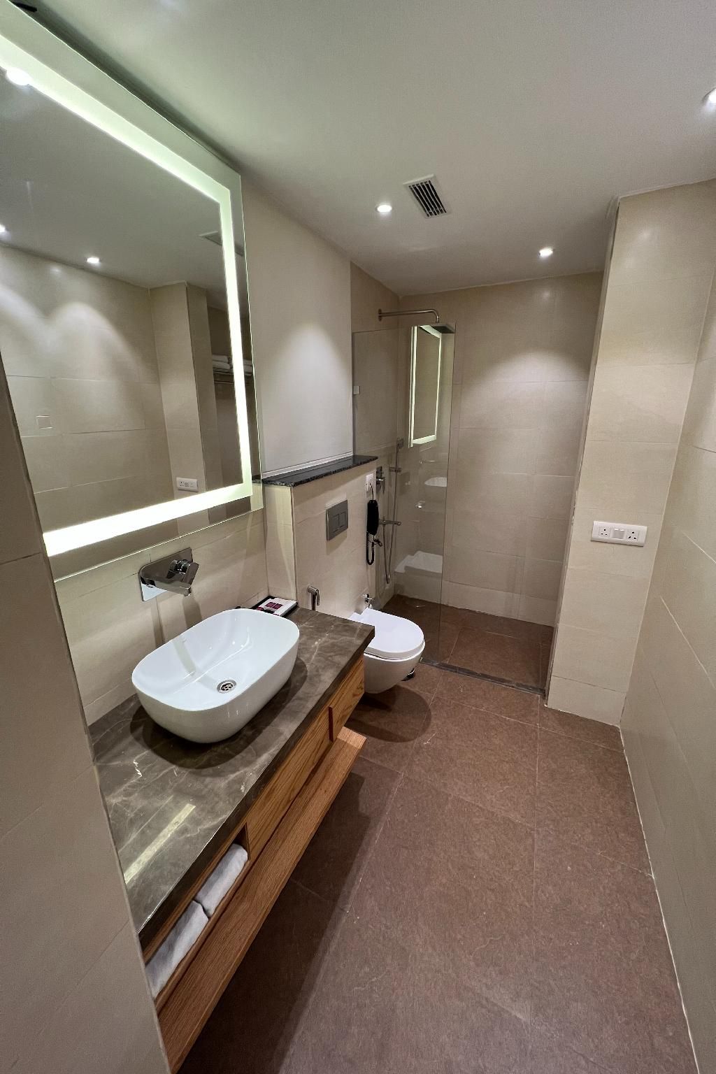 Hotel Pasricha Deluxe Room 6