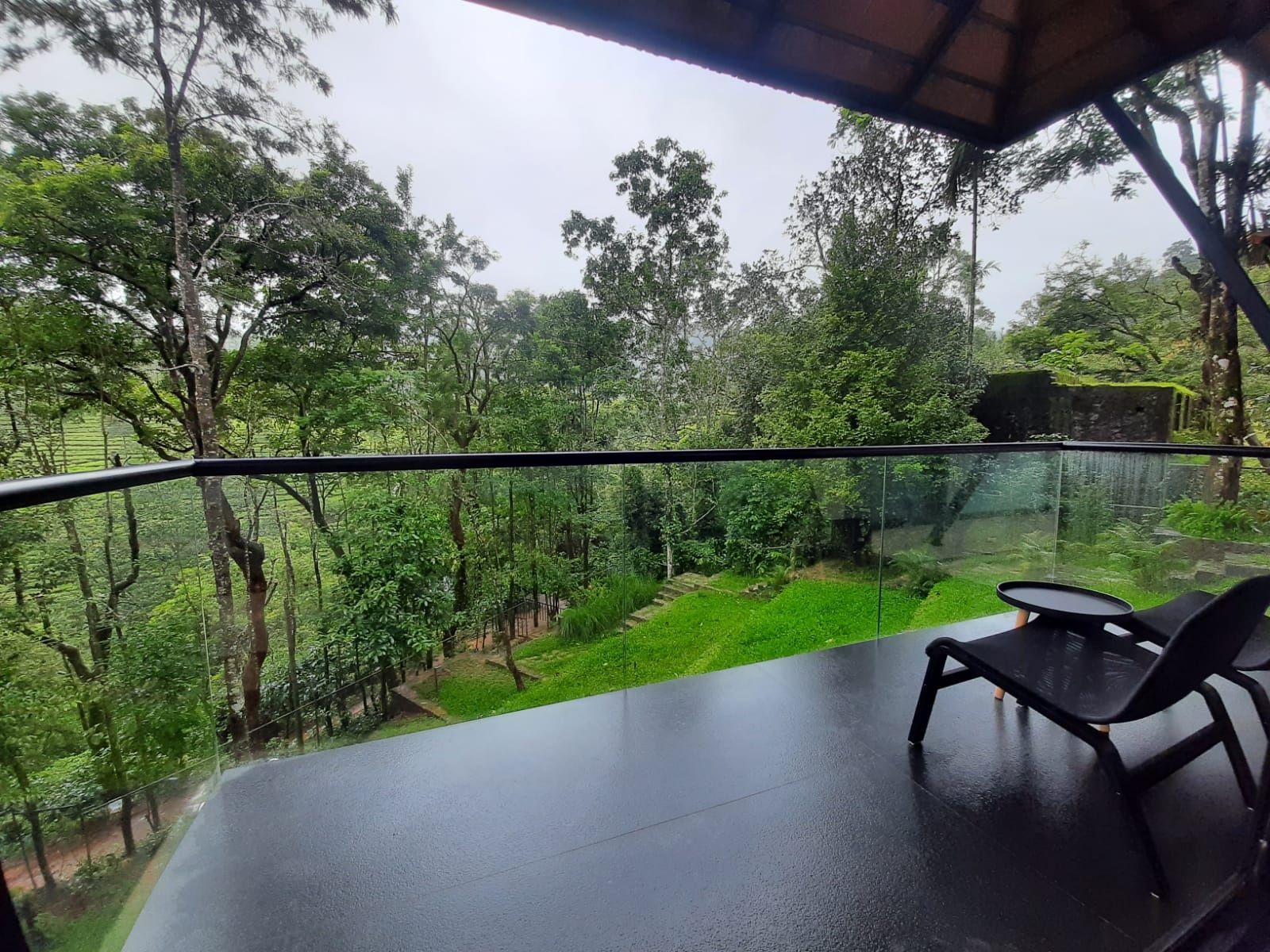 Tea Garden and Mountain View with Balcony