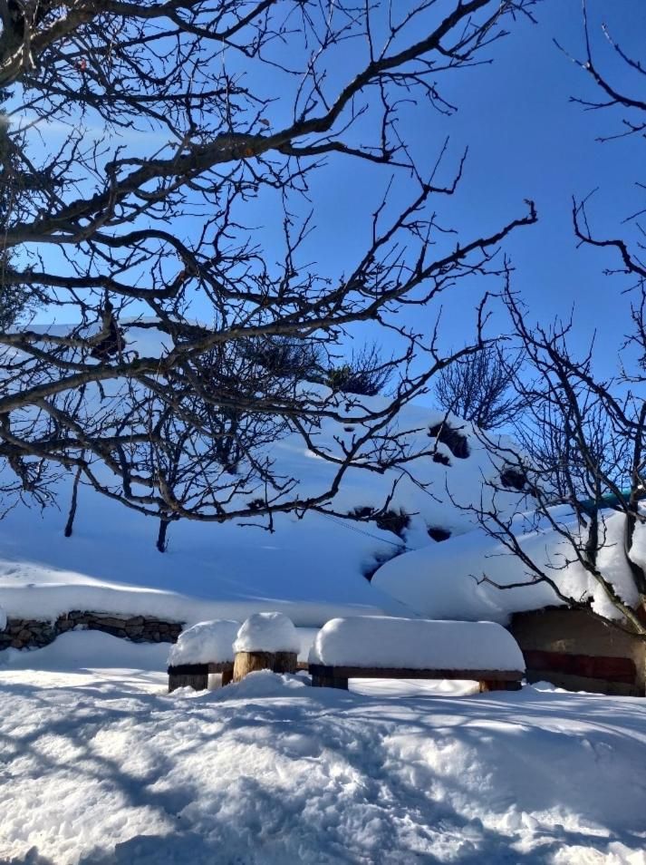 Surrounding environment