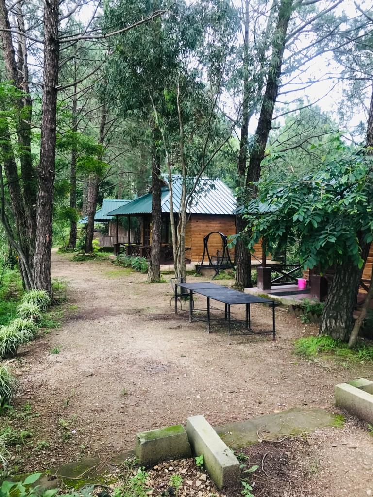 undefined Pinewood Nirvana, Resort, Shoghi  8