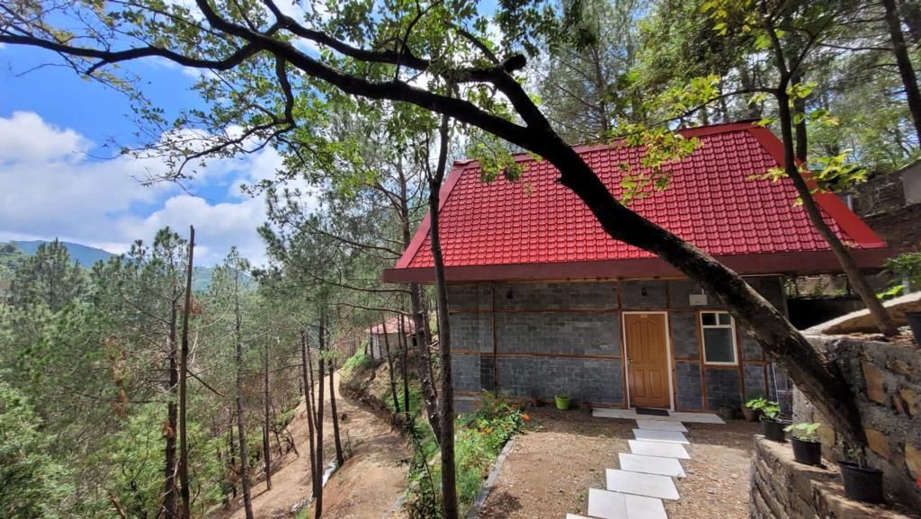 Pinewood Nirvana, Resort, Shoghi 