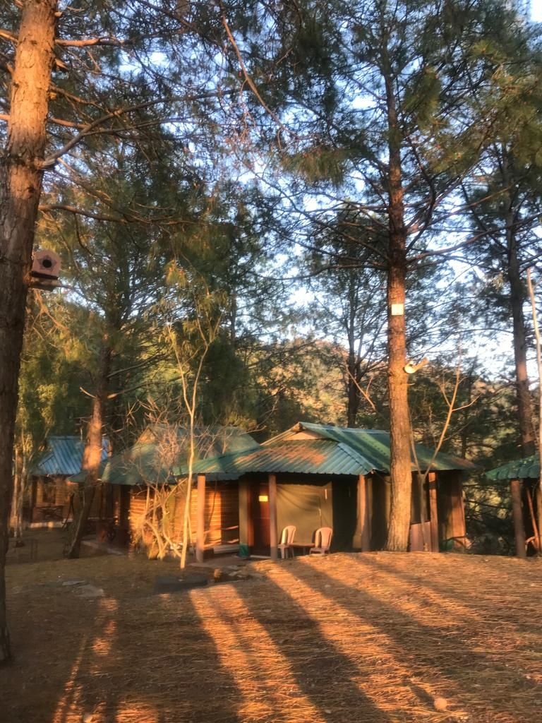 undefined Pinewood Nirvana, Resort, Shoghi  5