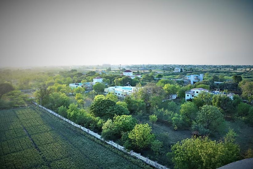 Hotel View