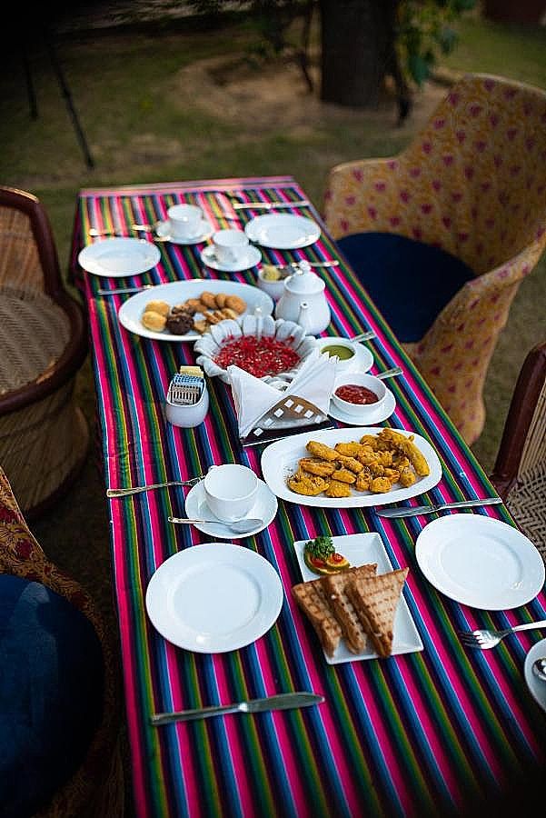 undefined Tree of life Chhota Mahal, Amer, Jaipur 5