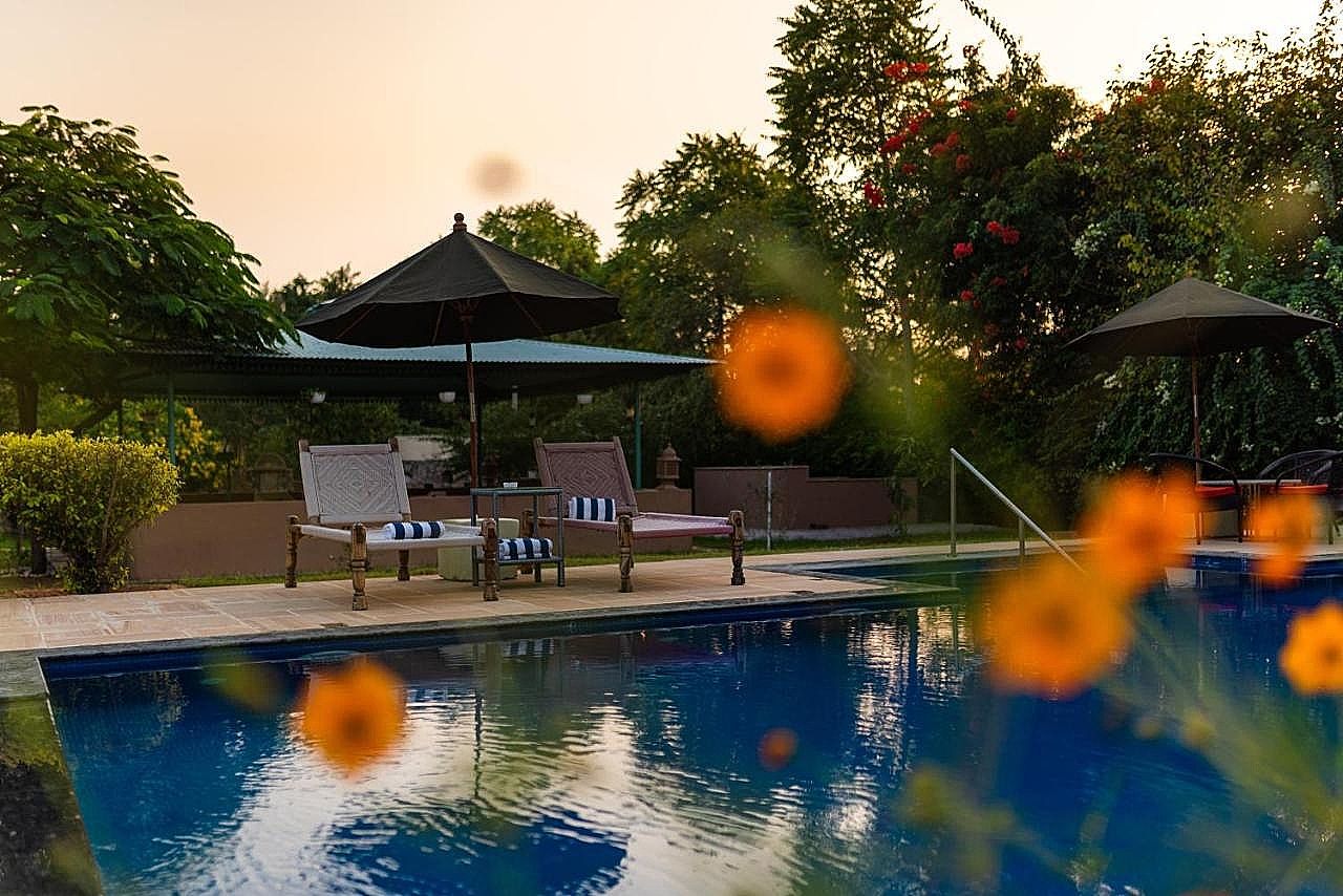 undefined Tree of life Chhota Mahal, Amer, Jaipur 4