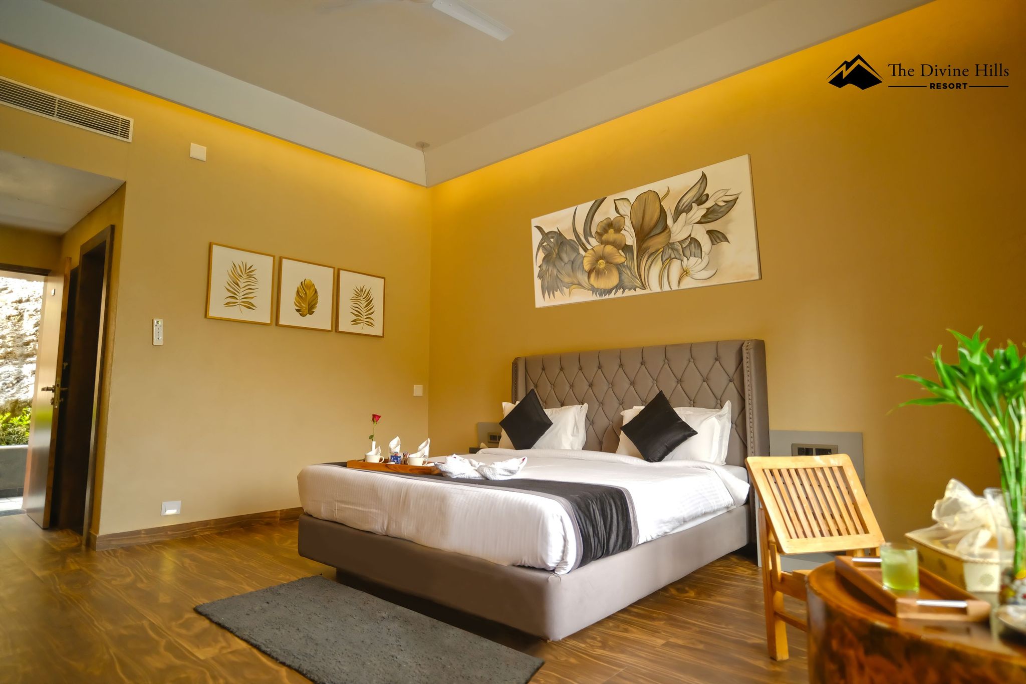 Premium Room