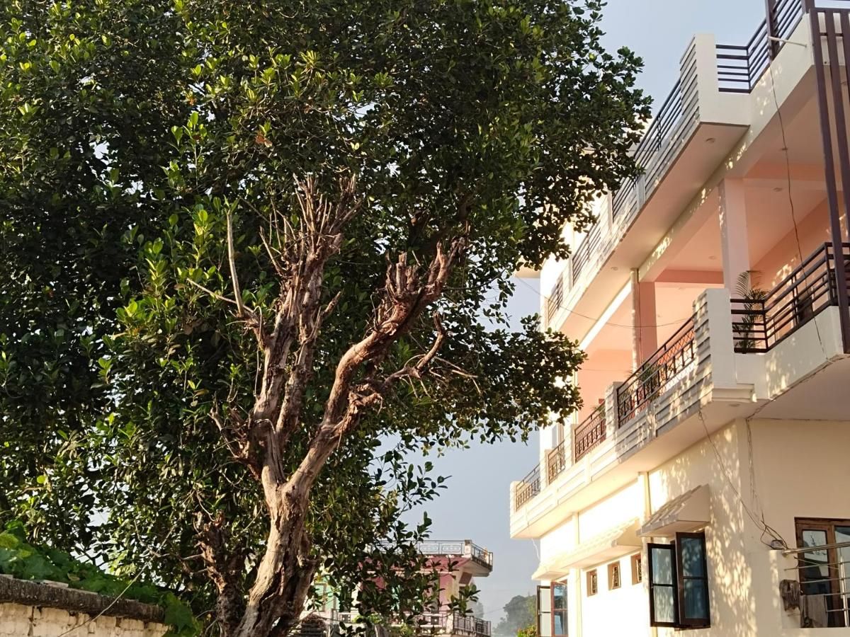 undefined Airport luxury nature valley homestay  6