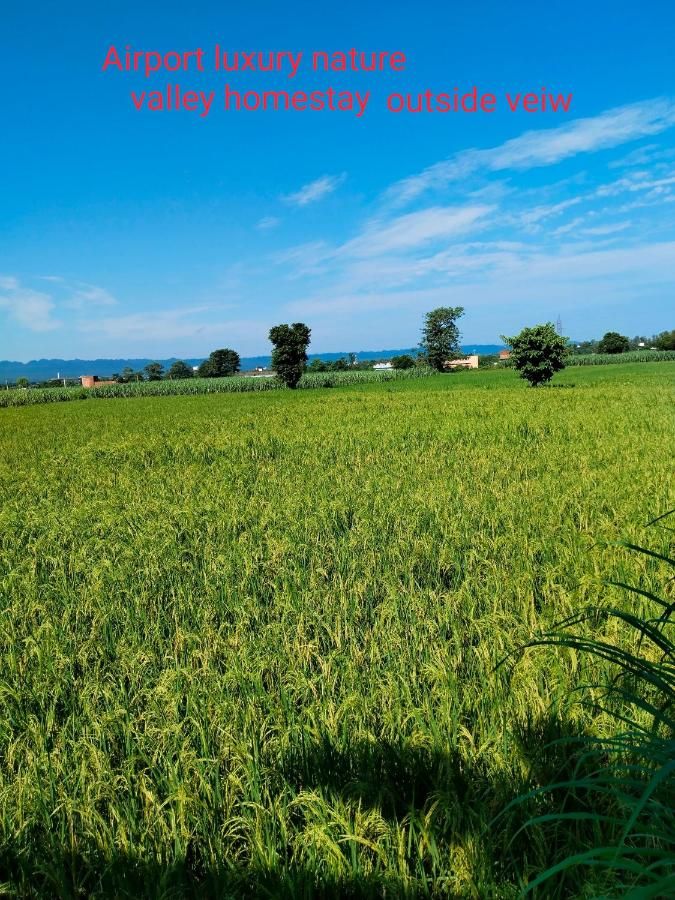 undefined Airport luxury nature valley homestay  10