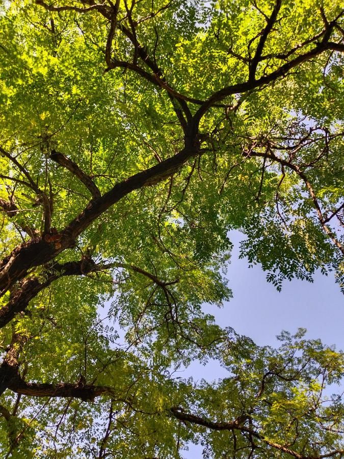 undefined Airport luxury nature valley homestay  7