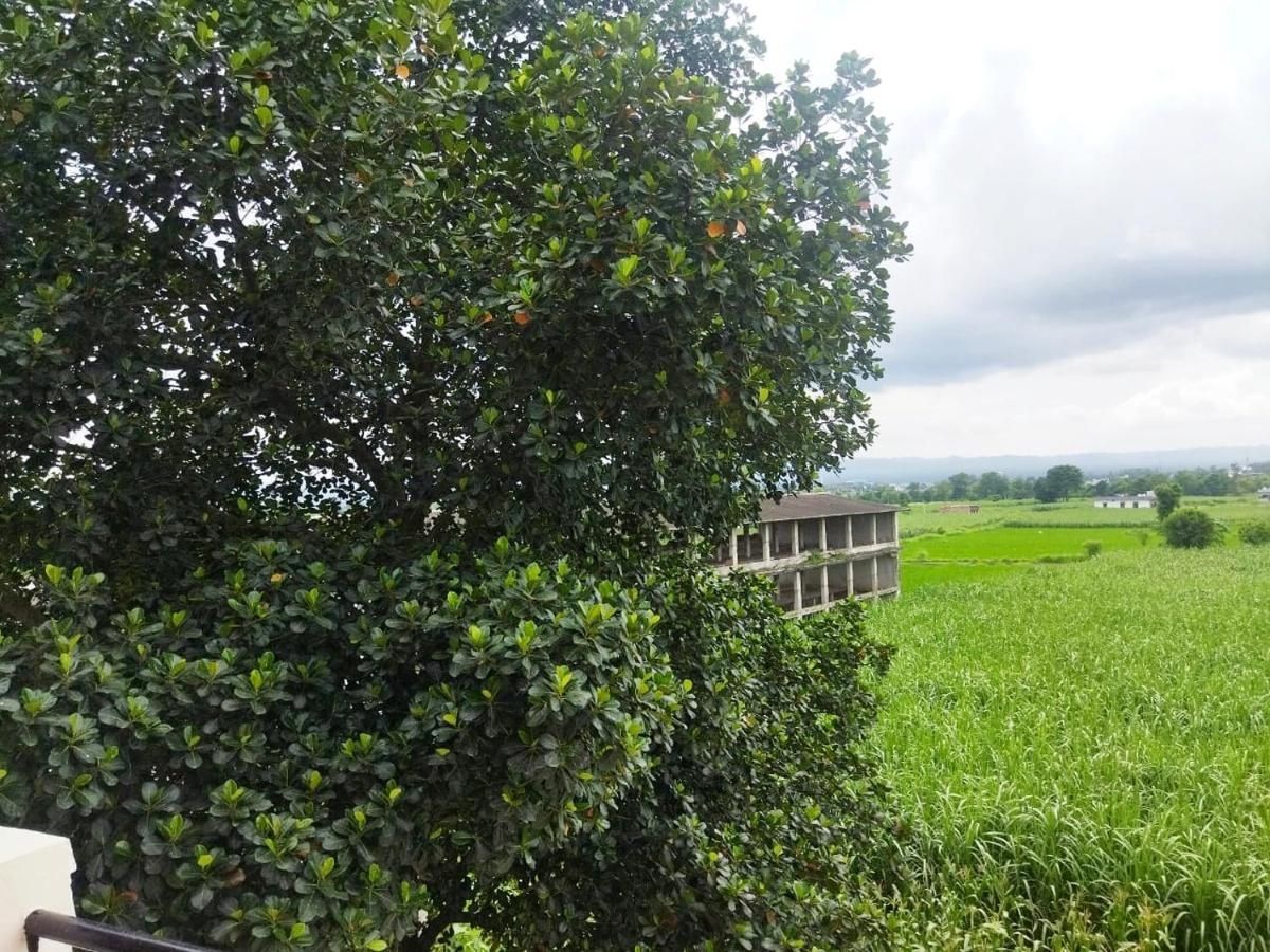 undefined Airport luxury nature valley homestay  8