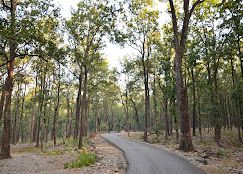 undefined Dee Fellow 8