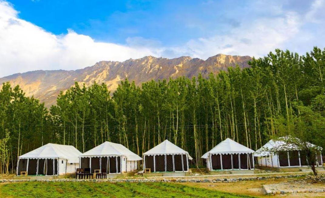 Terrain Ladakh Camping Nubra