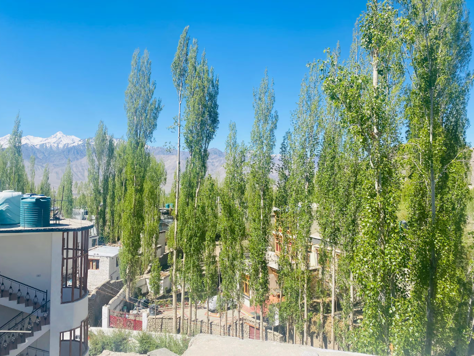 undefined Ladakh Horizon 2
