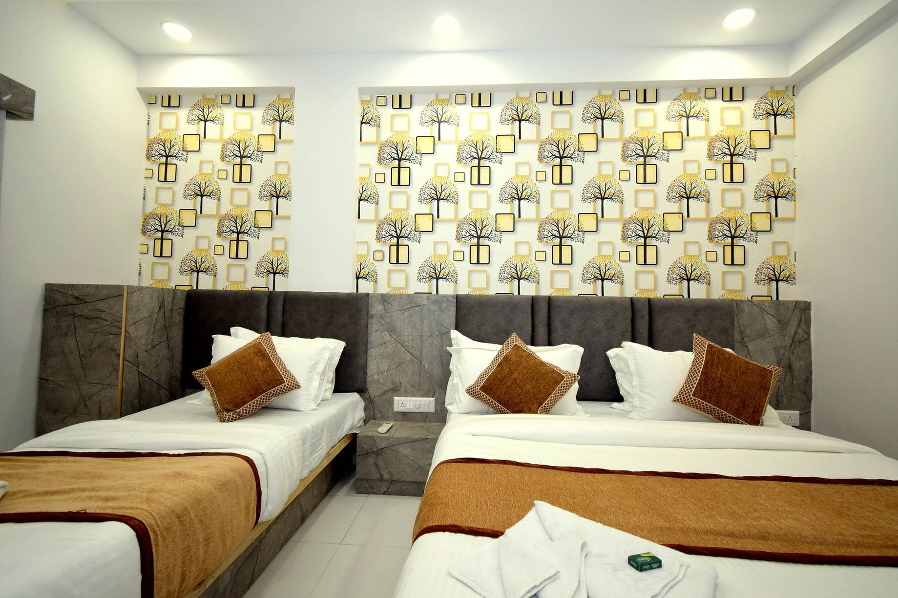 Deluxe Three Bed AC Room