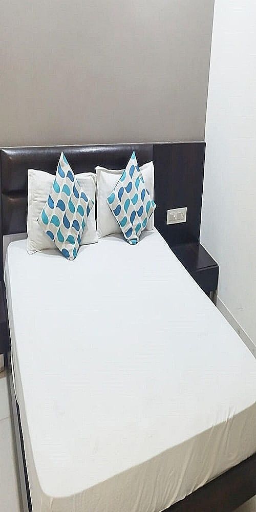 undefined Hotel Raj Palace 3