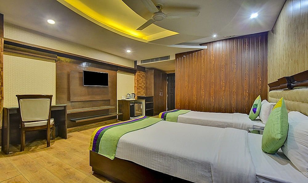 Treebo Elysee, Patel Nagar Standard Double Room 7