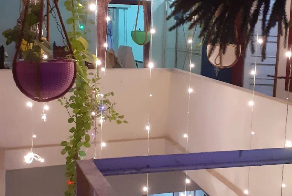 undefined Goroomgo Fish King's Gorakhpur 4