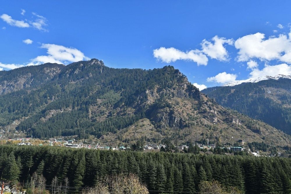 Lotus Inn Rothang View Economy Double Room 12