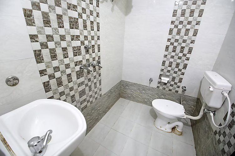 Hotel Mayur  AC Deluxe Room 6