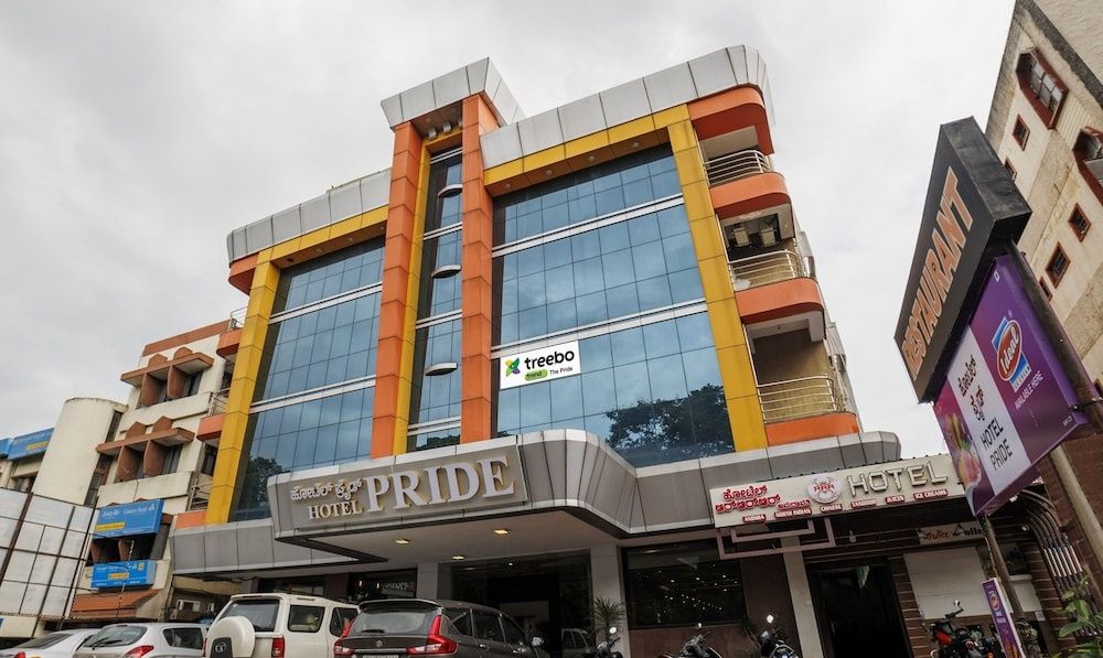 undefined Treebo Trend Pride 4