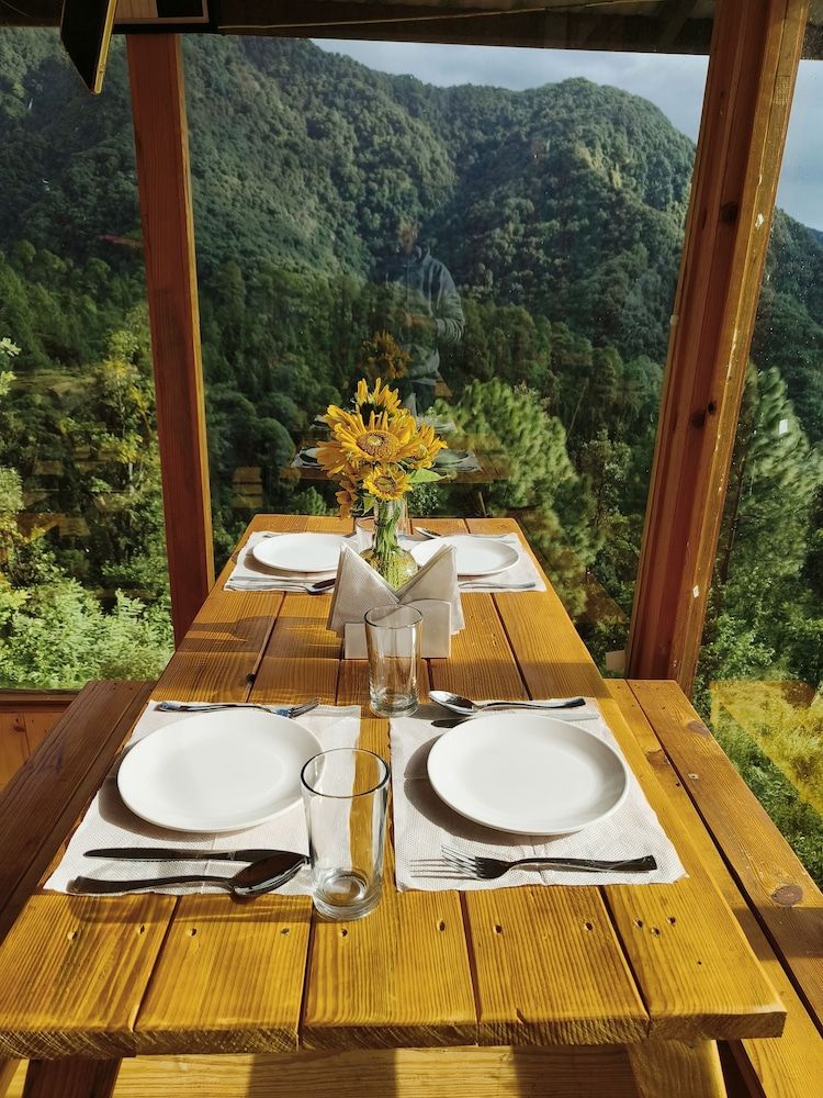 Food & Dining