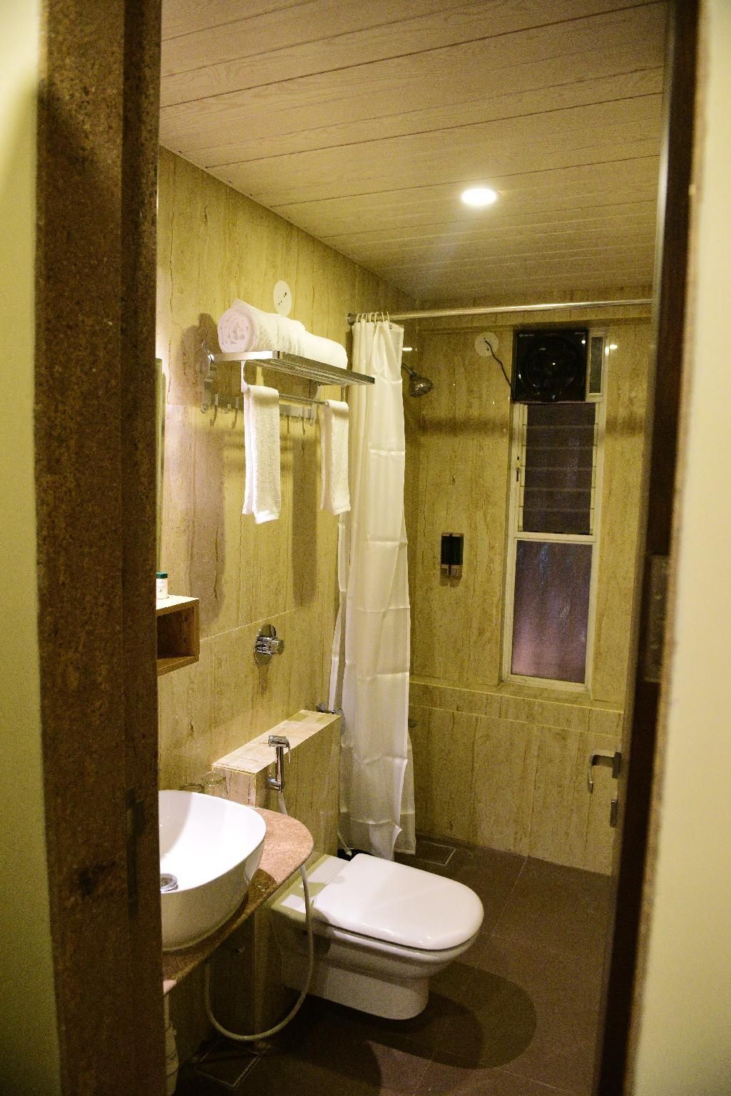 Little Mastiff Moshi Superior 2