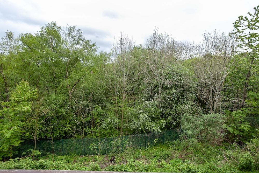 Lakeside view - Manchester townhouse Classic Townhome, 3 Bedrooms, Balcony, Lakeside 18