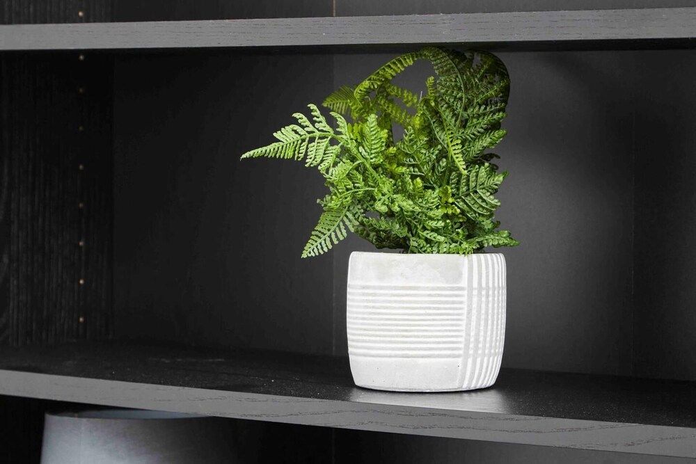 Dellehomes Remarkable 4-bed House in Manchester House 52