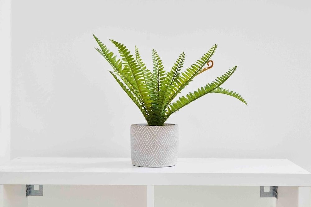 Dellehomes Remarkable 4-bed House in Manchester House 54